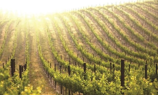 果園果樹栽種新建實(shí)驗(yàn)室檢測項(xiàng)目及儀器方案 果園果樹栽種新建實(shí)驗(yàn)室檢測項(xiàng)目及儀器方案